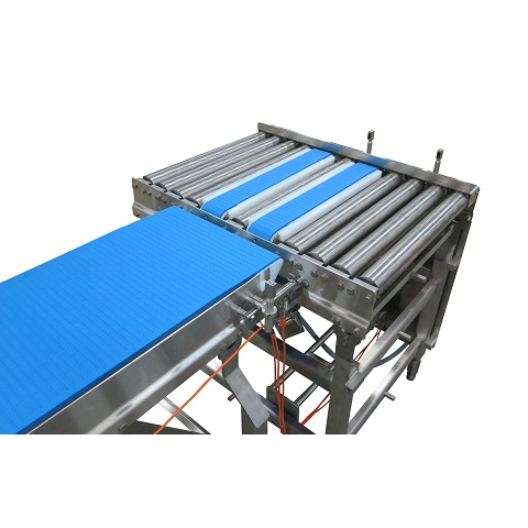 An application scenario or product detail of transfer conveyor systems - Image 3