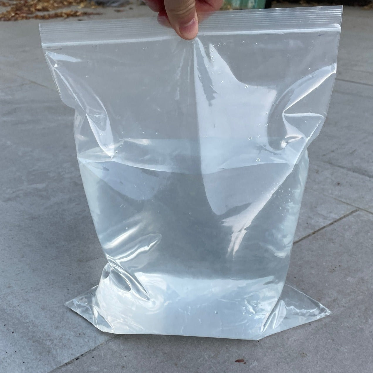 Featured image for the transparent plastic bag guide