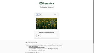 Tripadvisor - Walkie Talkies in Vietnam