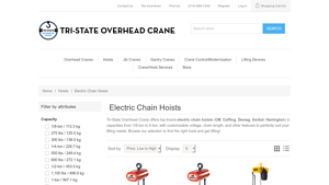 Electric Chain Hoists - Top Brands & Capacities