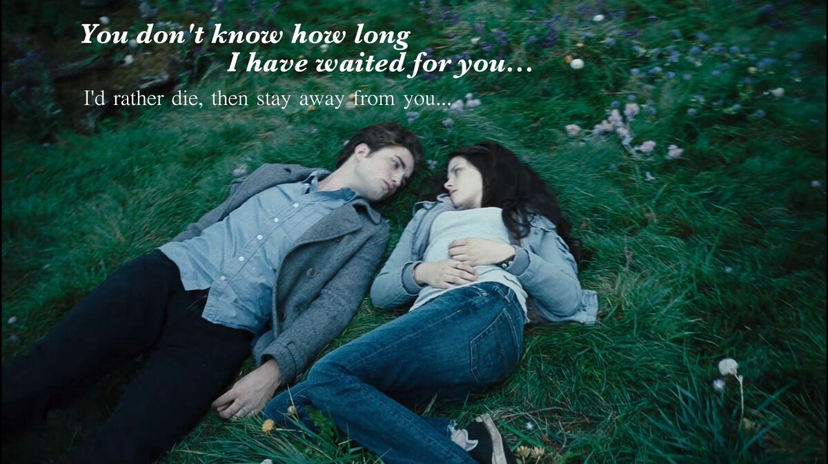 An application scenario or product detail of twilight movie quotes - Image 1