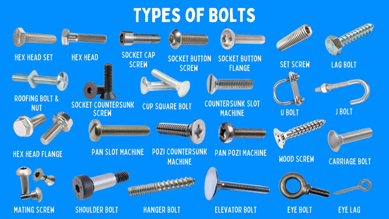 Featured image for the types of bolts with pictures guide
