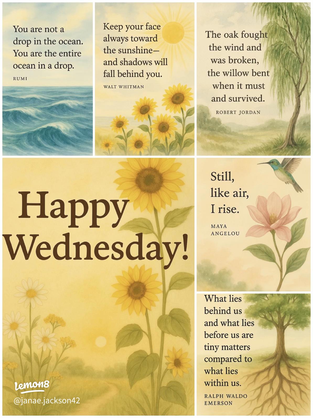 An application scenario or product detail of uplifting wednesday quotes - Image 9
