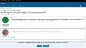 Urban75 - Fancy Strawberry Planter