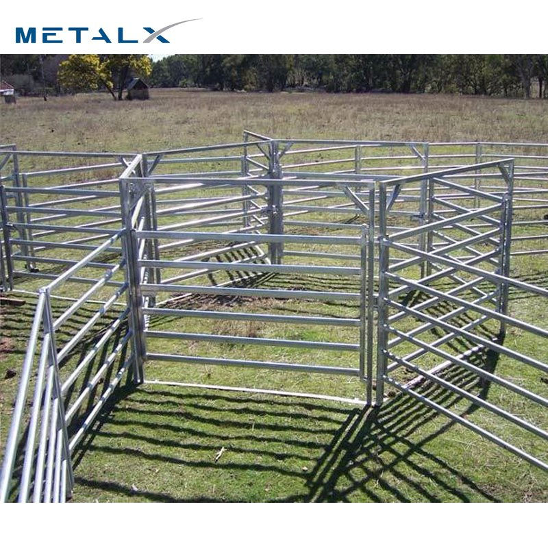 An application scenario or product detail of used cattle panels for sale - Image 3