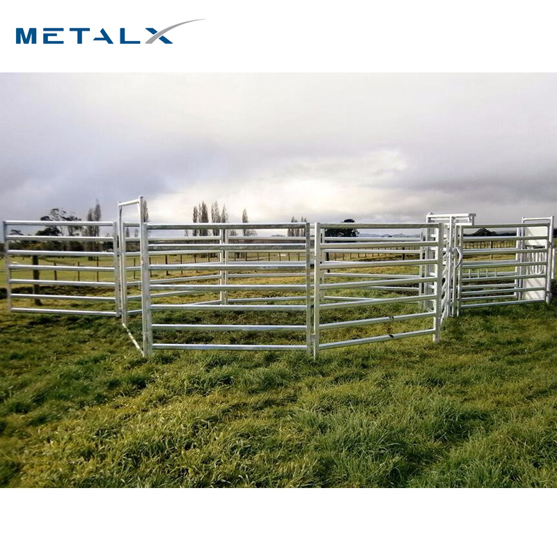 An application scenario or product detail of used cattle panels for sale - Image 11