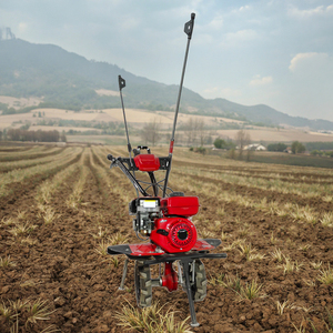 An application scenario or product detail of used tillers for sale - Image 12