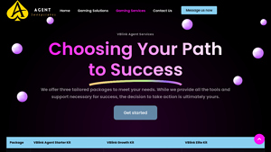 VBlink - Key Product
