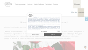 Verdissimo - Rosas Eternas