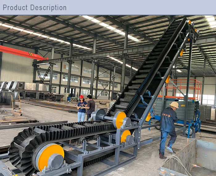 Featured image for the vertical conveyor belt guide