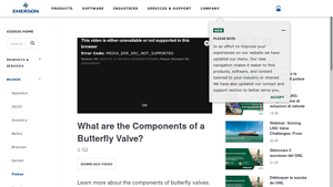 Emerson - Butterfly Valve Components