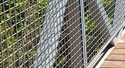 An application scenario or product detail of welded wire mesh sizes - Image 16