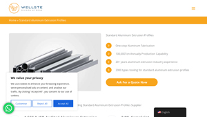 Wellste - Standard Aluminum Extrusion Profiles