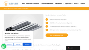 Wellste - Standard Aluminum Extrusion Profiles