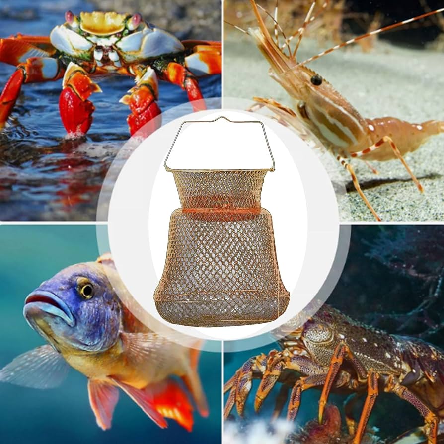 An application scenario or product detail of wire fish basket - Image 14