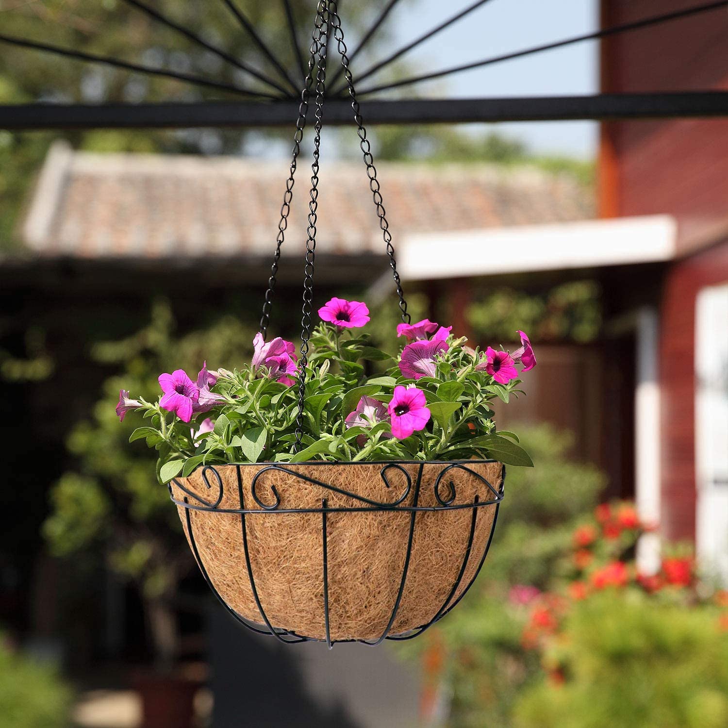 An application scenario or product detail of wire plant baskets - Image 1