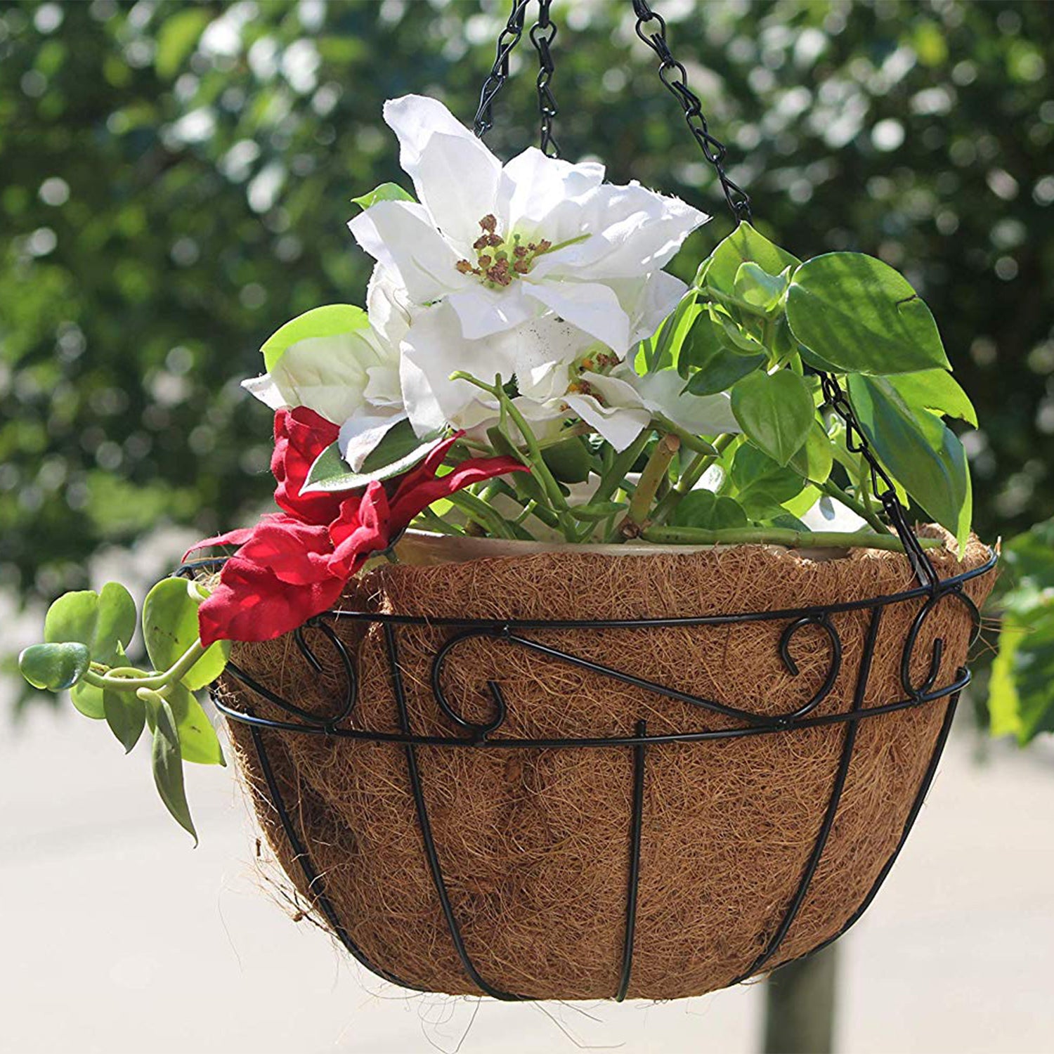 An application scenario or product detail of wire plant baskets - Image 6