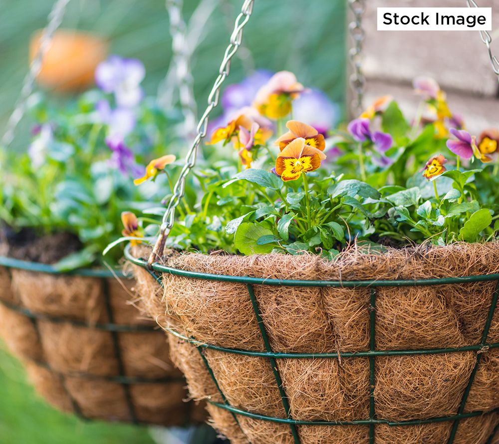 An application scenario or product detail of wire plant baskets - Image 9