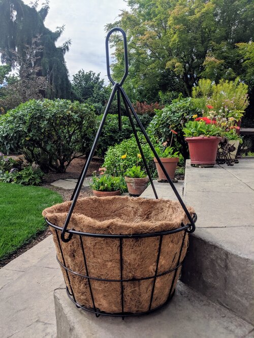 Featured image for the wire plant baskets guide