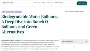 Wiser - Biodegradable Water Balloons