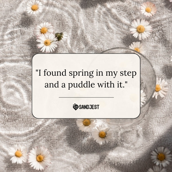 An application scenario or product detail of witty spring quotes - Image 2