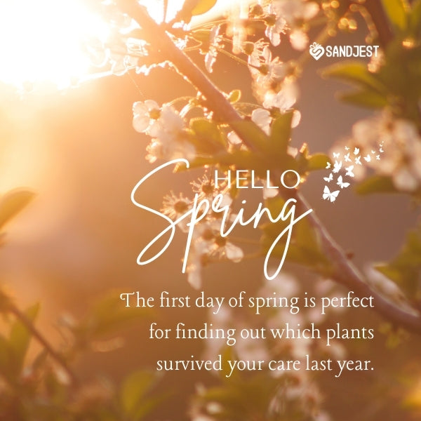 An application scenario or product detail of witty spring quotes - Image 3