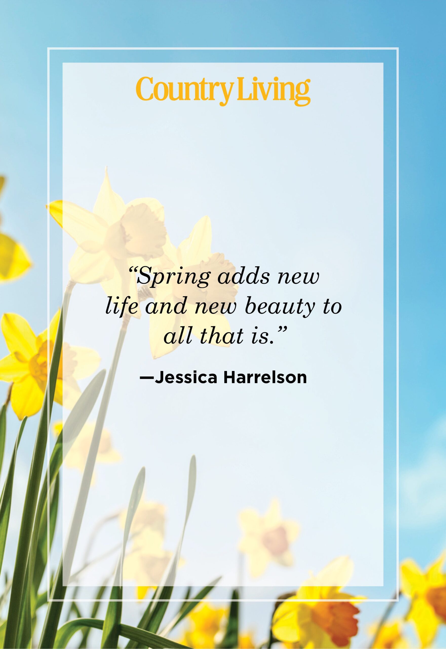 An application scenario or product detail of witty spring quotes - Image 5