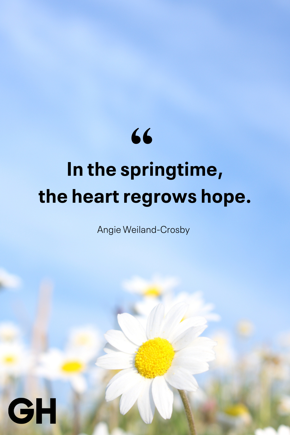 An application scenario or product detail of witty spring quotes - Image 12