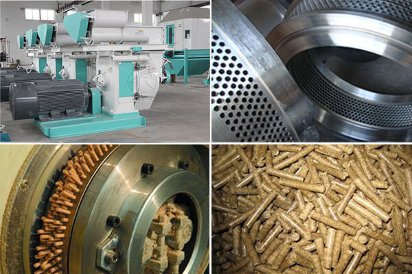 An application scenario or product detail of wood pellet machine - Image 9