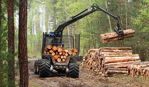 An application scenario or product detail of wooden cut machine - Image 17