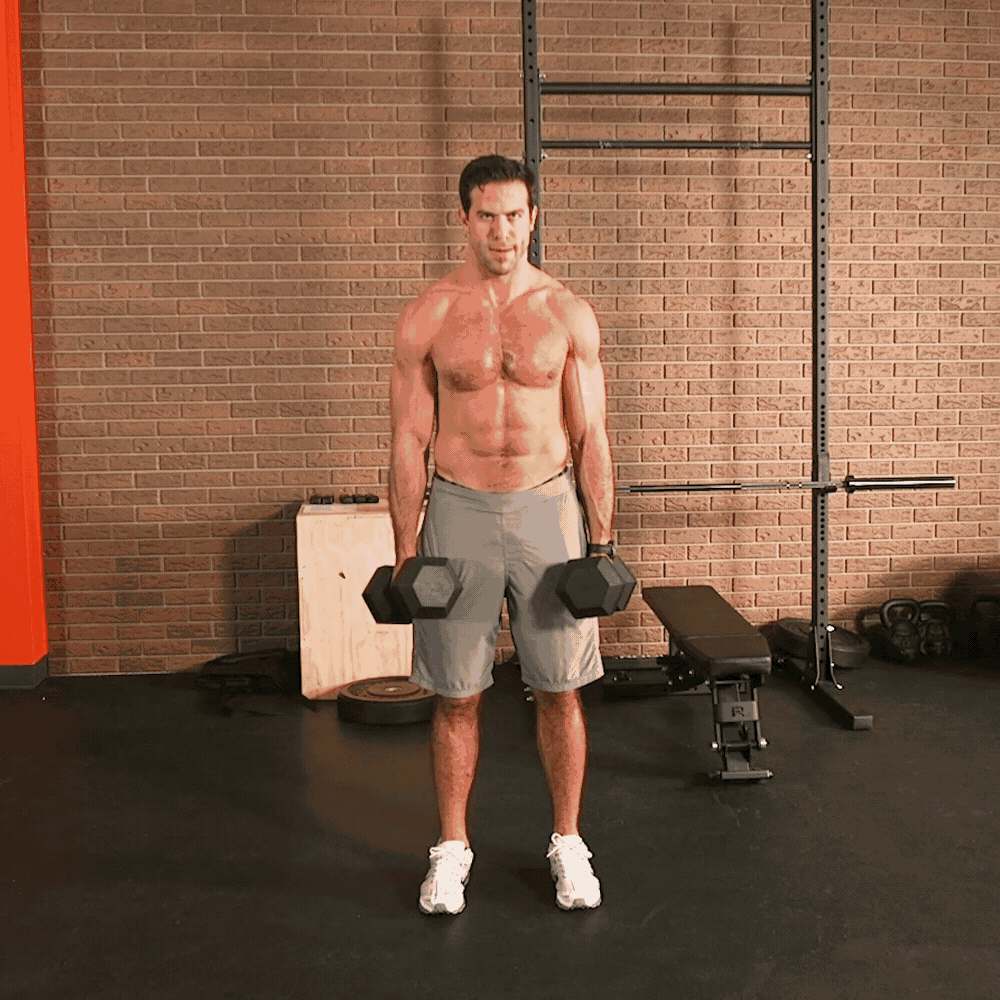 An application scenario or product detail of workout shrug - Image 3