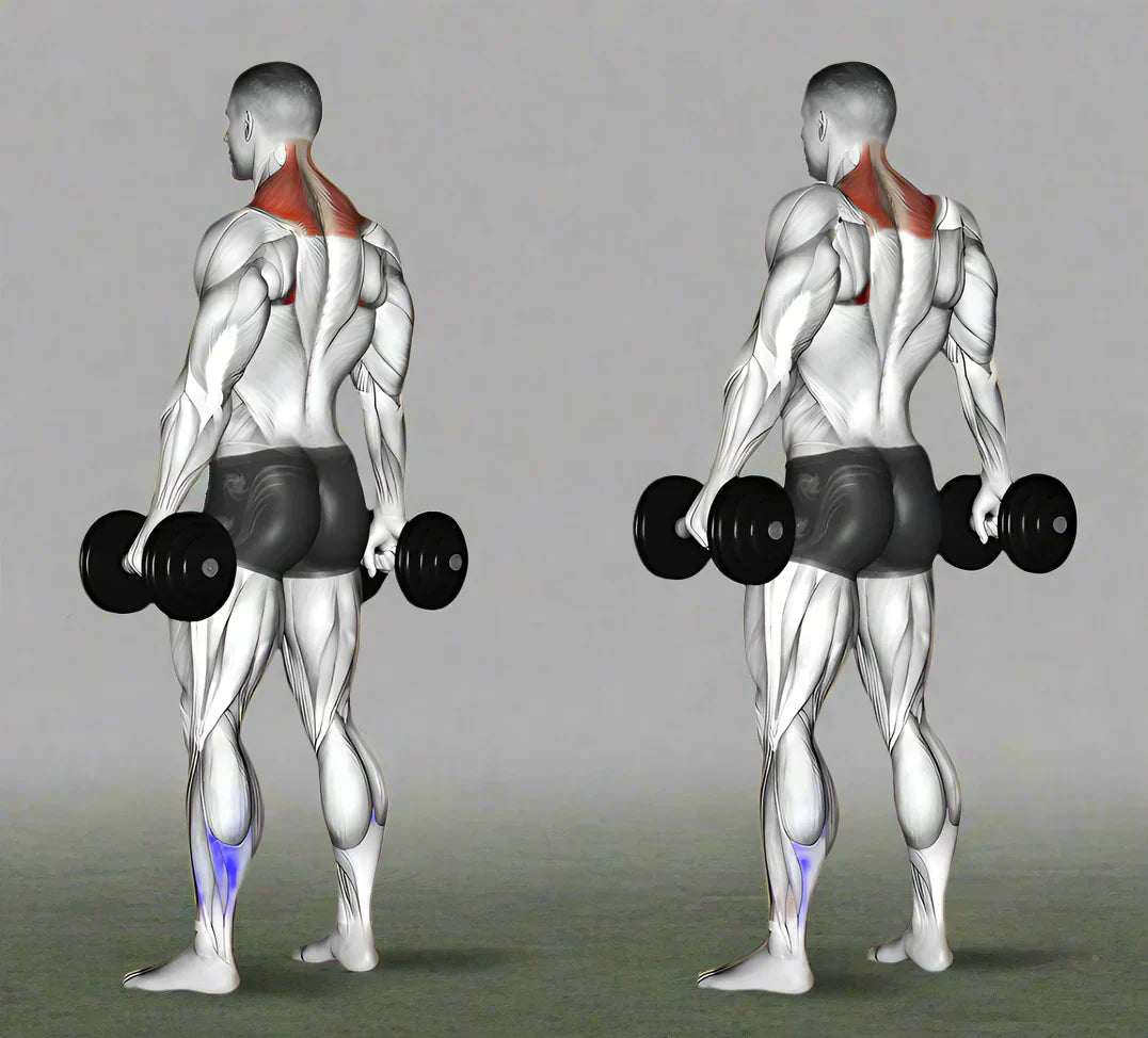 An application scenario or product detail of workout shrug - Image 16