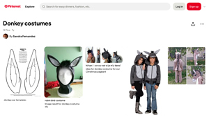 Pinterest - Donkey Costume Essentials