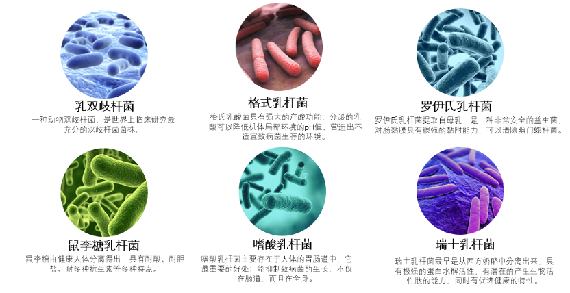 An application scenario or product detail of 益生菌 采购 - Image 15